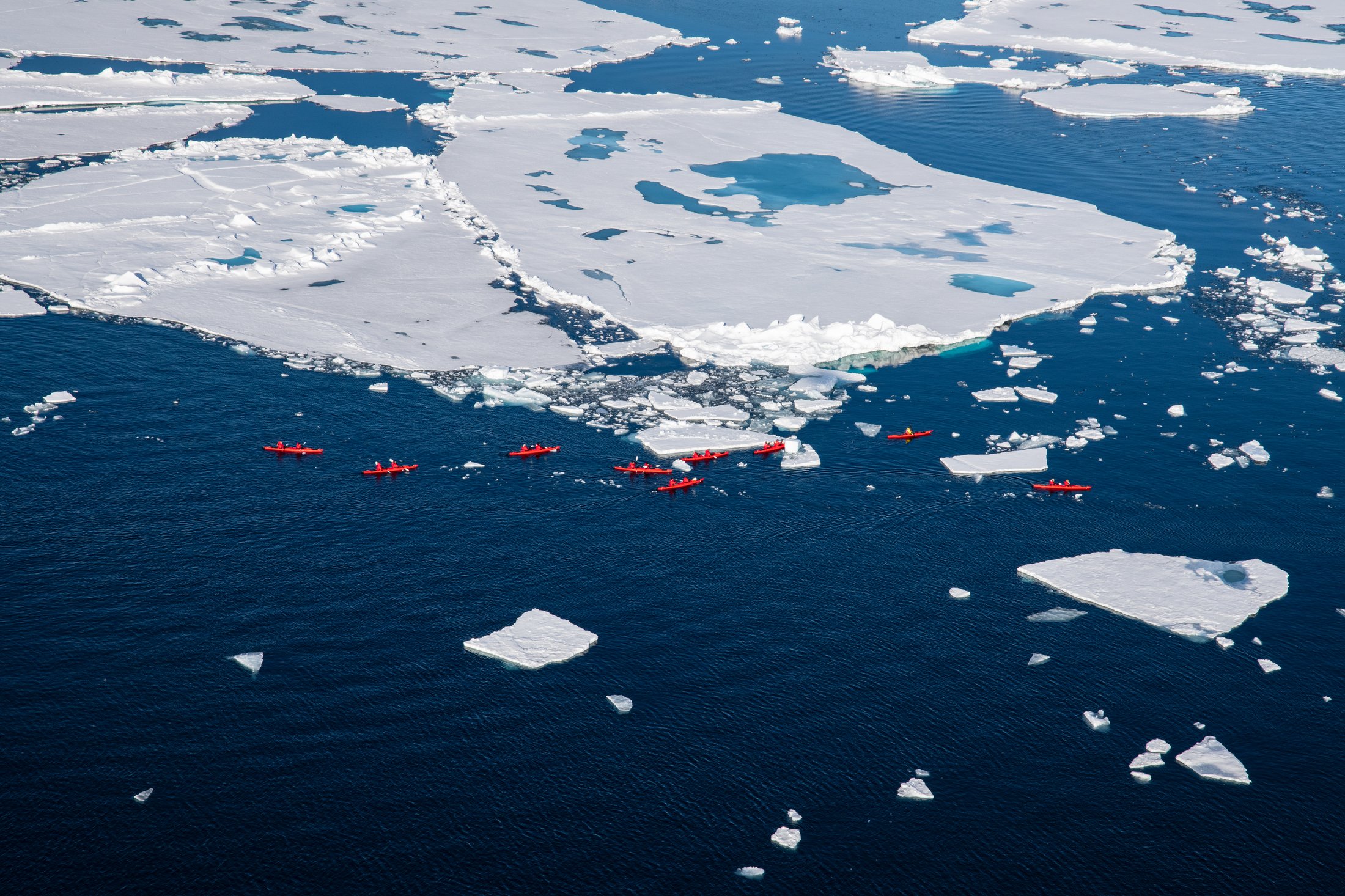 Kayak dans les eaux glacées - Expédition guidée en Antarctique