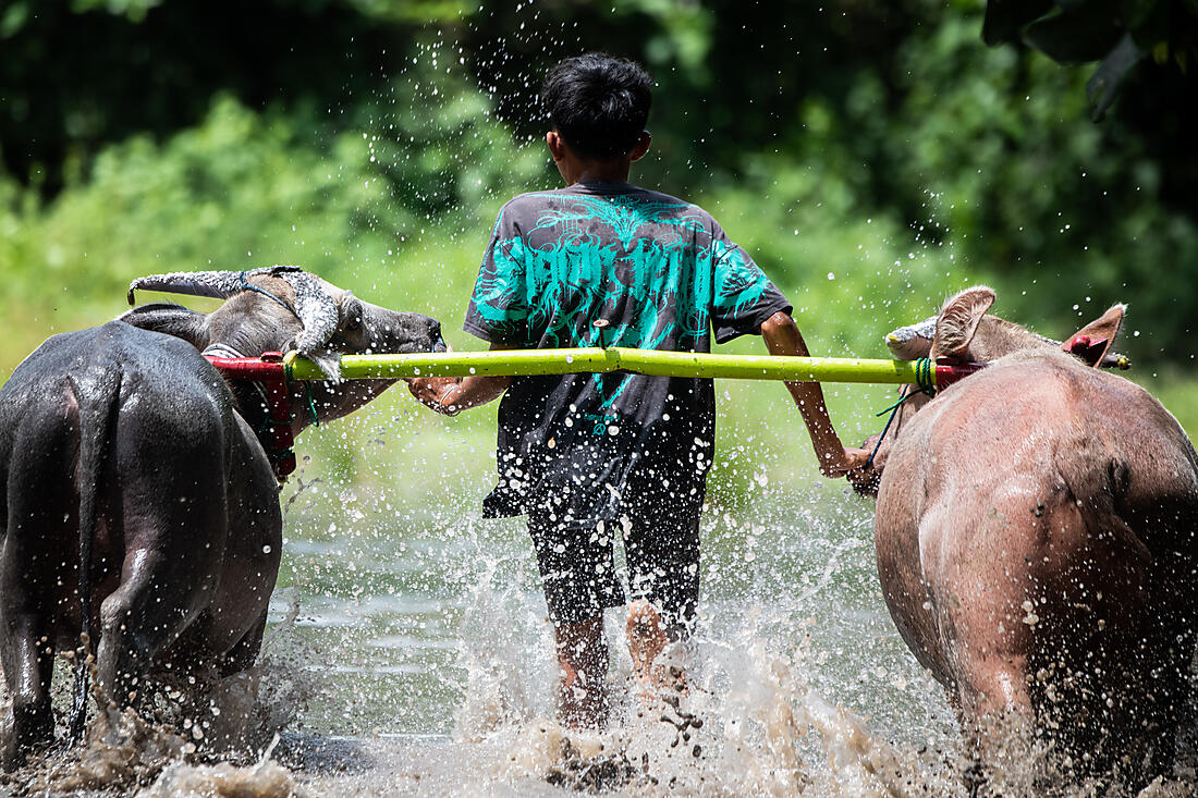 Navigation d'expédition dans l'archipel indonésien — eaux turquoise et îles volcaniques