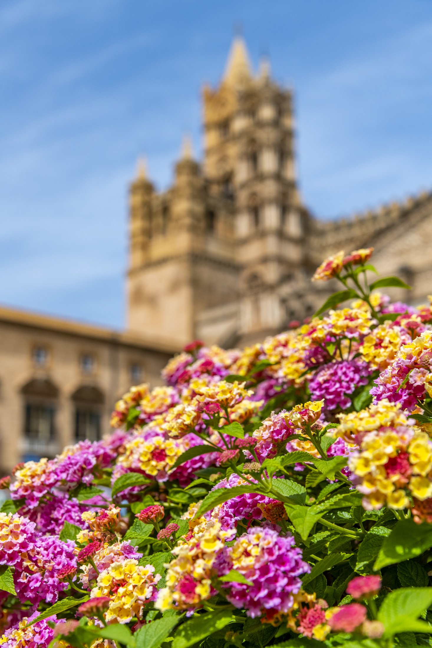 Italie - Cathédrale de Palerme, Sicile