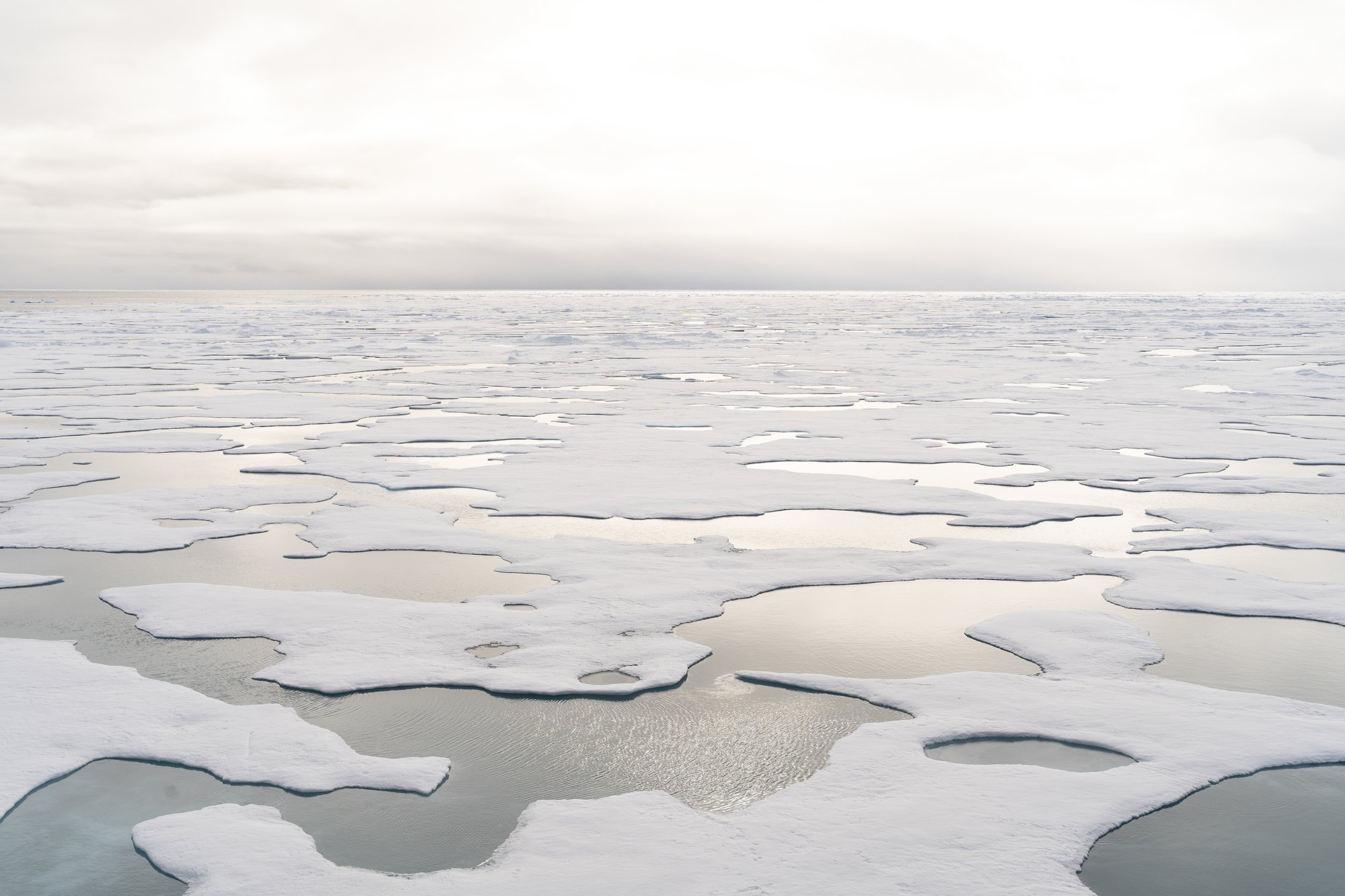 81 degrés Nord - Commandant Charcot