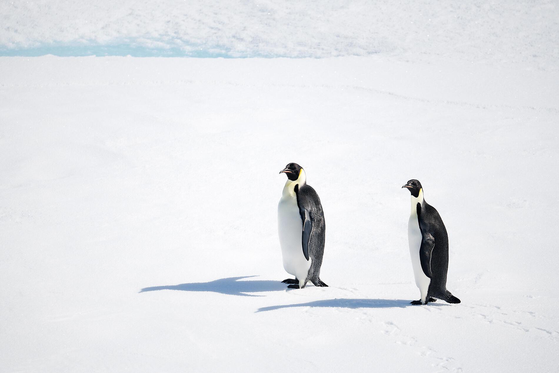 Exploration de la mer de Weddell