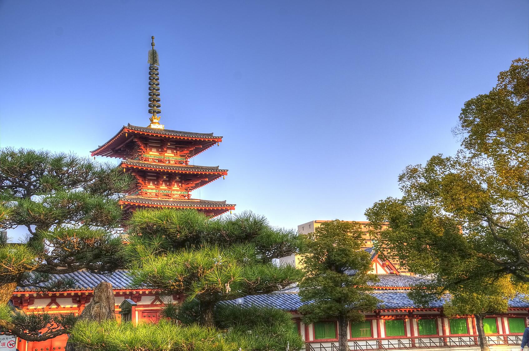Odyssée au cœur des îles subtropicales du Japon