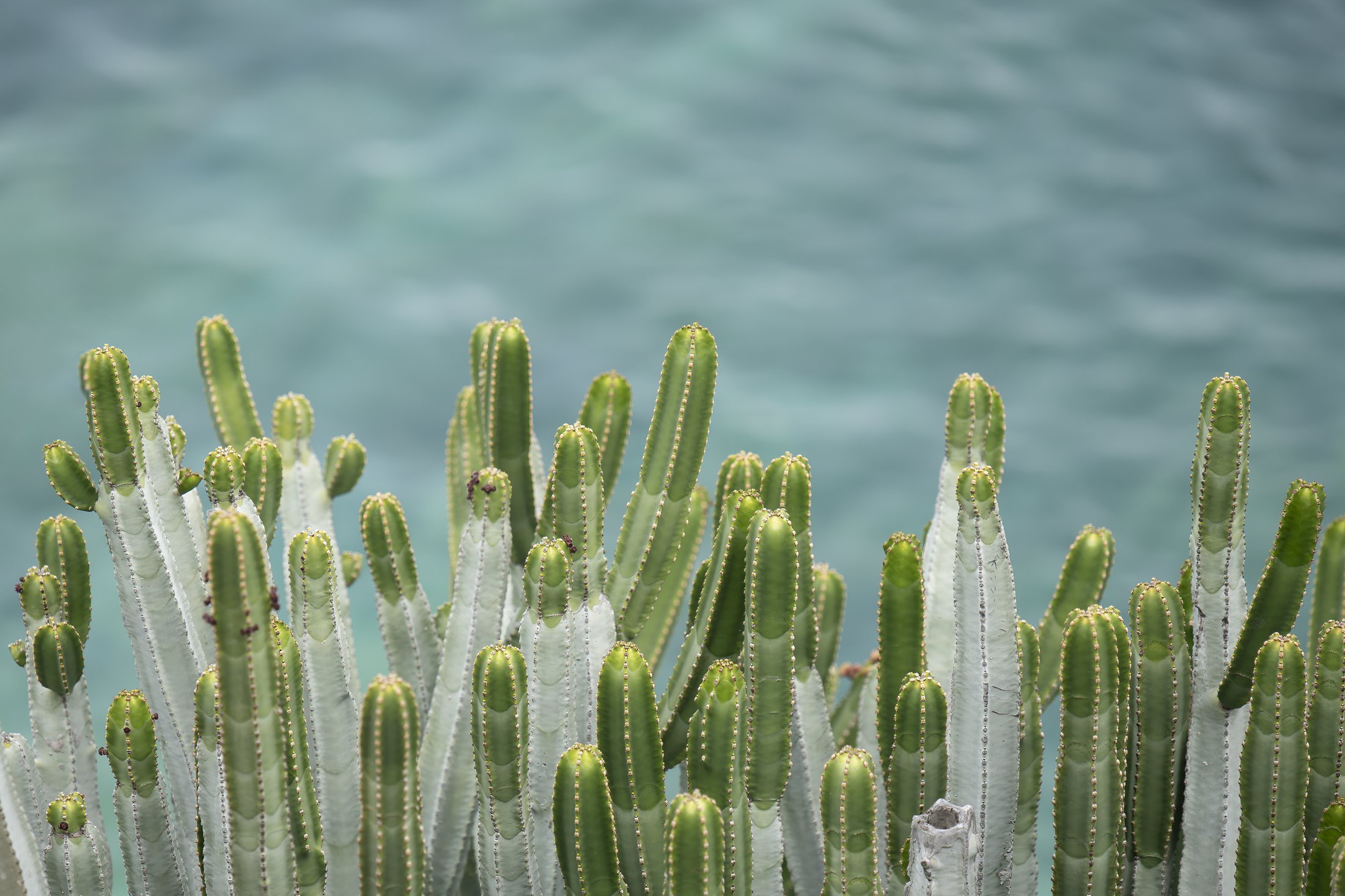 Voyage en mer : Bergen-Montréal