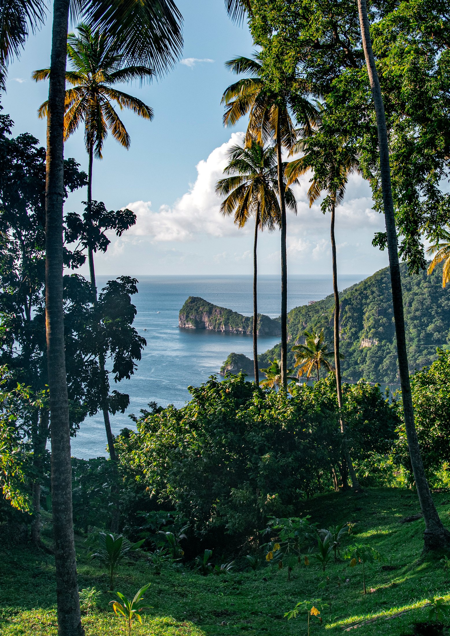 Escapade gastronomique dans les Caraïbes
